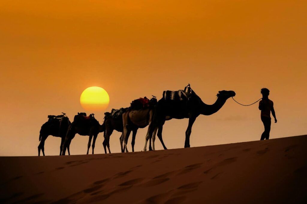10 Days Desert Tour from Tangier To Casablanca