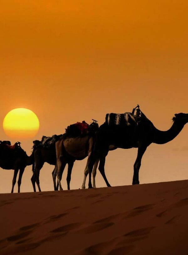 10 Days Desert Tour from Tangier To Casablanca