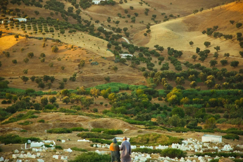 12 Days Morocco Tour from Fes Imperial Cities and Desert
