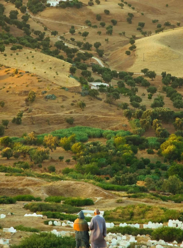 12 Days Morocco Tour from Fes Imperial Cities and Desert