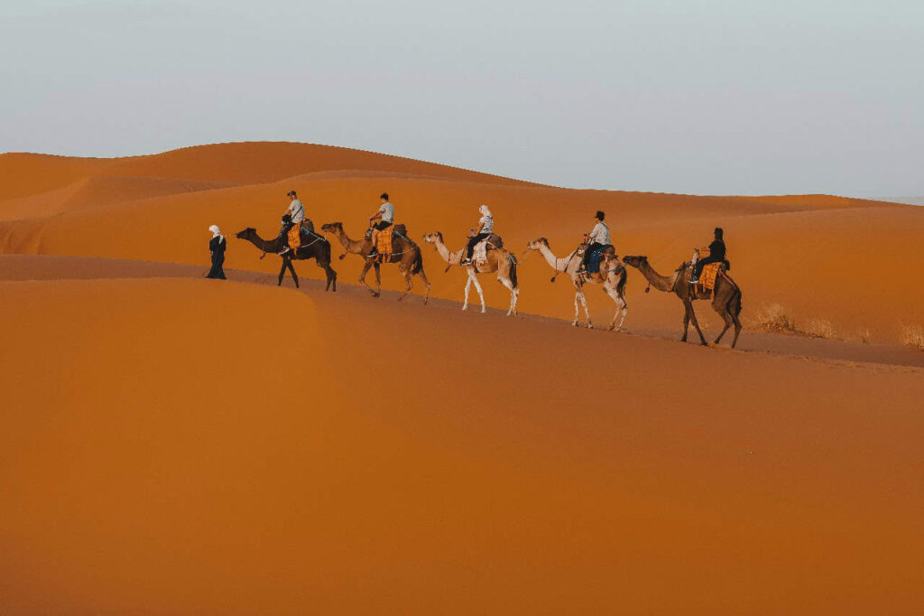 13 Days Grand Morocco Tour from Tangier