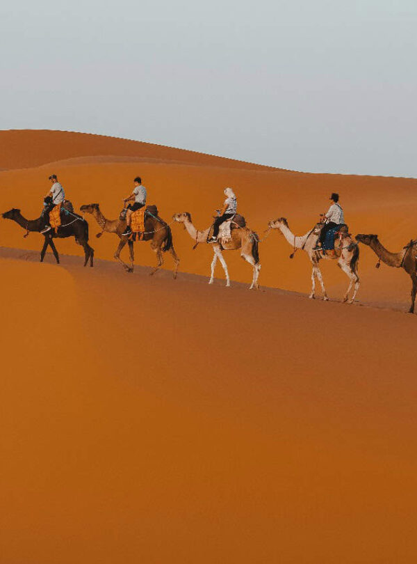 13 Days Grand Morocco Tour from Tangier