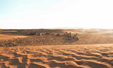 2 Days Tour From Marrakech To The Zagora Desert