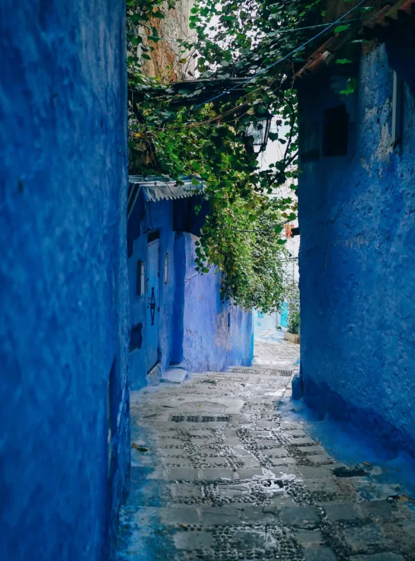 6 Days Desert Tour from Marrakech To Casablanca