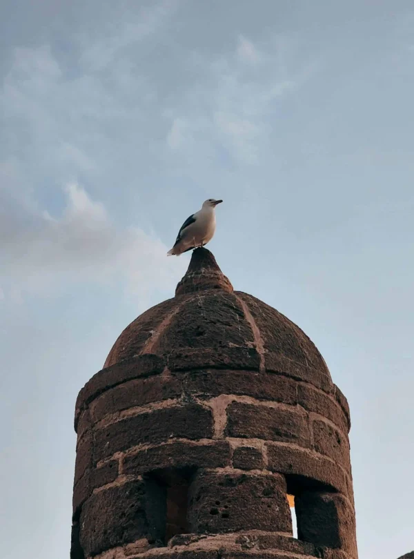 12 Days Morocco Tour from Fes: Imperial Cities and Desert