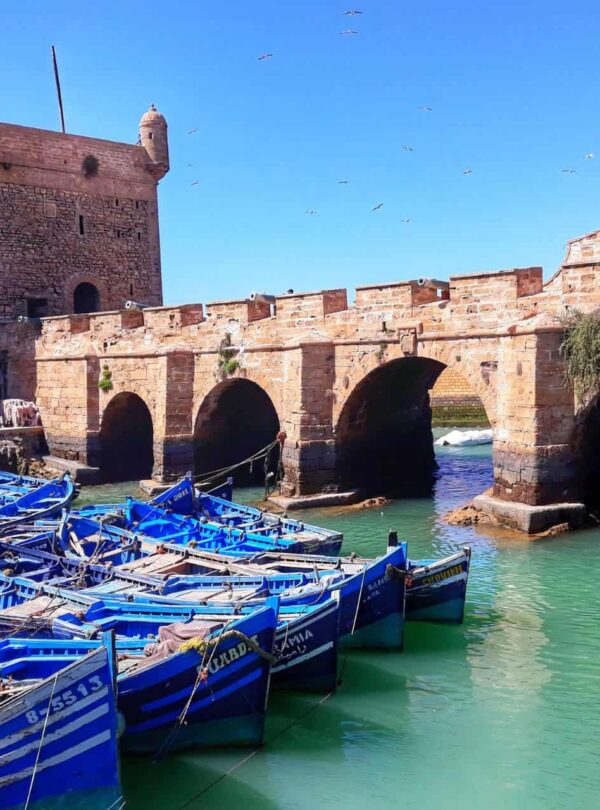 Day Trip from Marrakech to Essaouira
