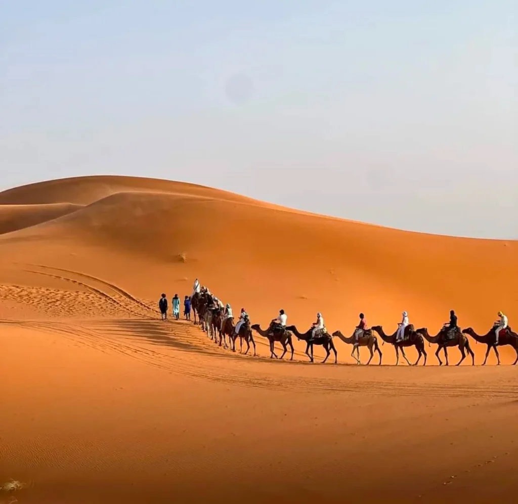 About Us - Pure Sahara Tours